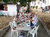 cliquez ici pour voir l'image (250814Img01.jpg)